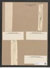 Pleurosigma pulchrum Grun. (de-Toni-Nr.: Genus 13, Species 1042) Zeichnungen Sammlung Grunow Nr. 2105 (NHMW-BOT-W0368979)